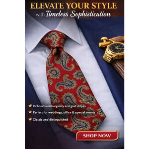 Alexander Lloyd Red & Blue Paisley Men's Tie One Size